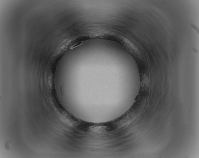 X0000097480452200803071720