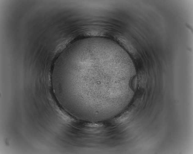 X0000097480453200803071720