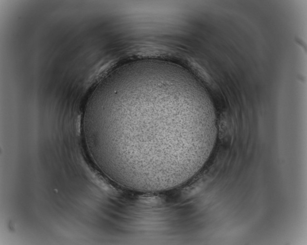 X0000097480454200803071720