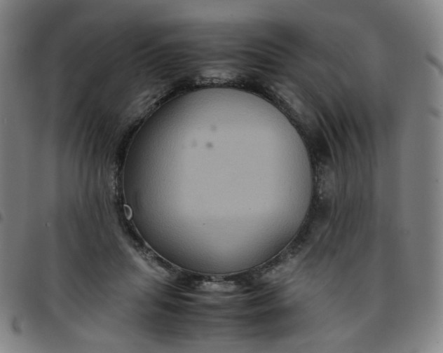 X0000097480455200803071720