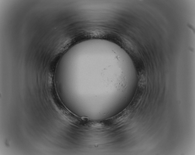 X0000097480456200803071720