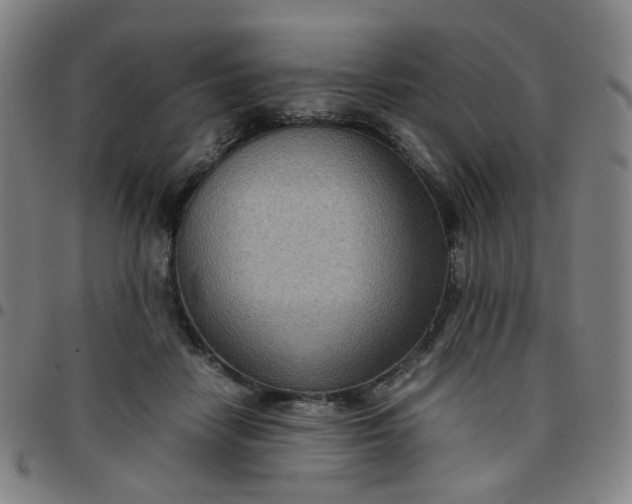 X0000097480458200803071720