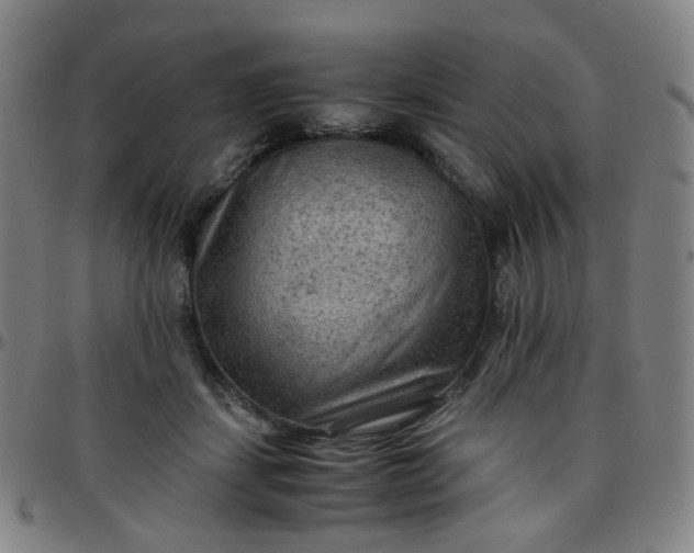 X0000097480459200803071720