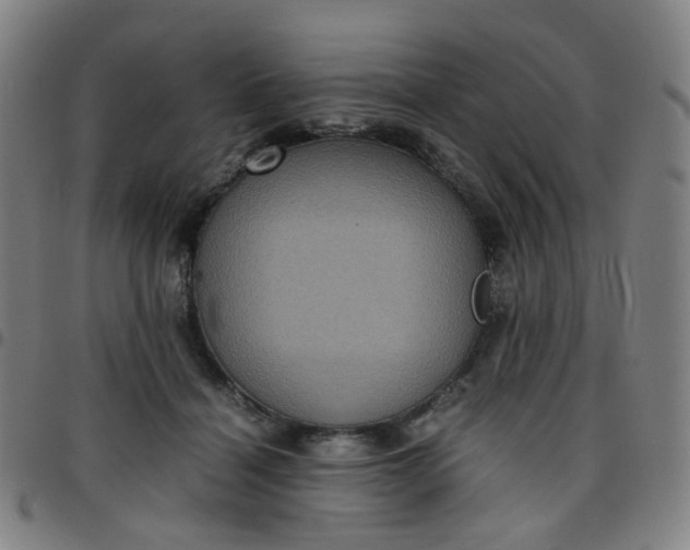 X0000097480460200803071720