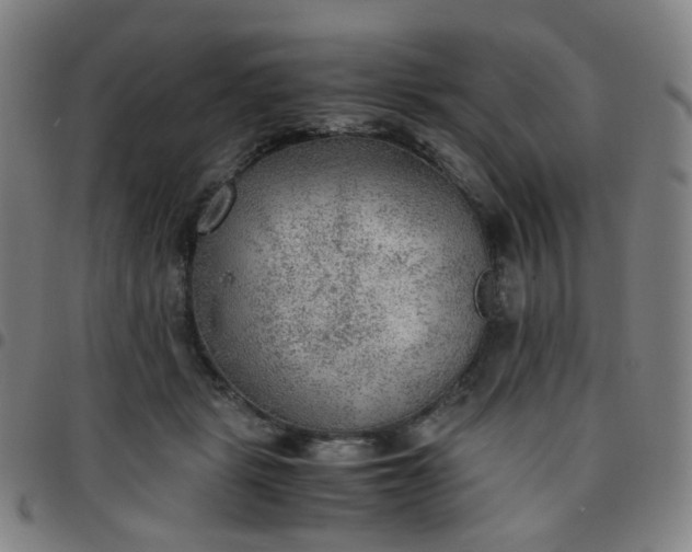 X0000097480461200803071720