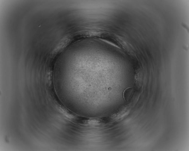 X0000097480462200803071720