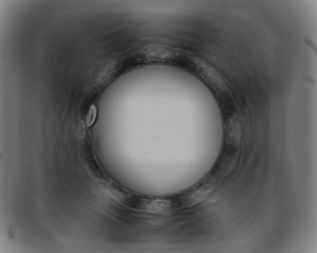 X0000097480463200803071720