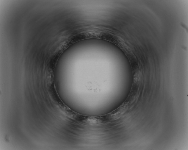 X0000097480464200803071720