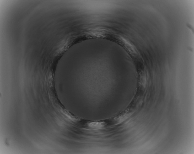 X0000097480465200803071720