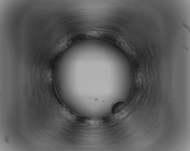 X0000097480466200803071720