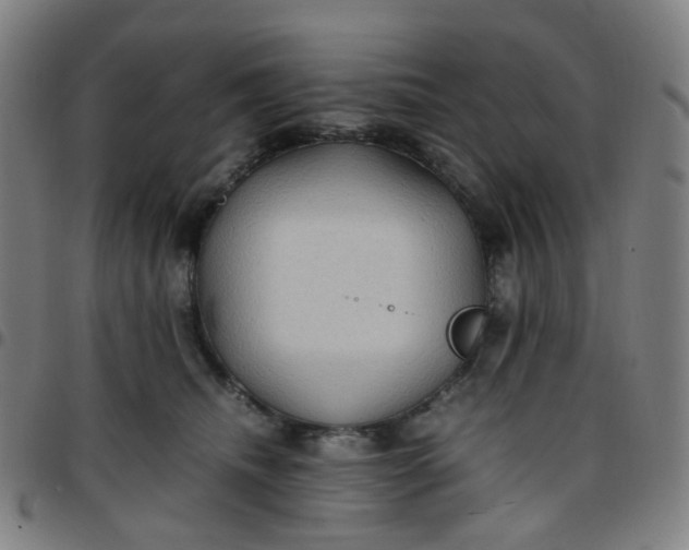 X0000097480468200803071720