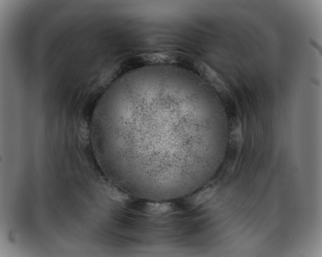 X0000097480469200803071720