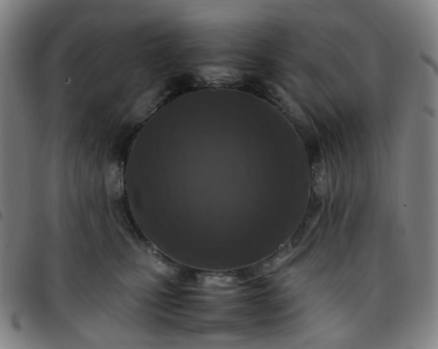 X0000097480471200803071720