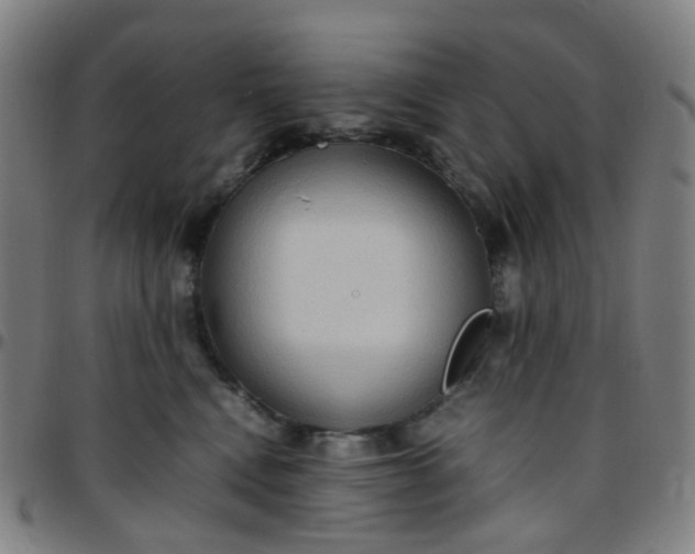 X0000097480472200803071720