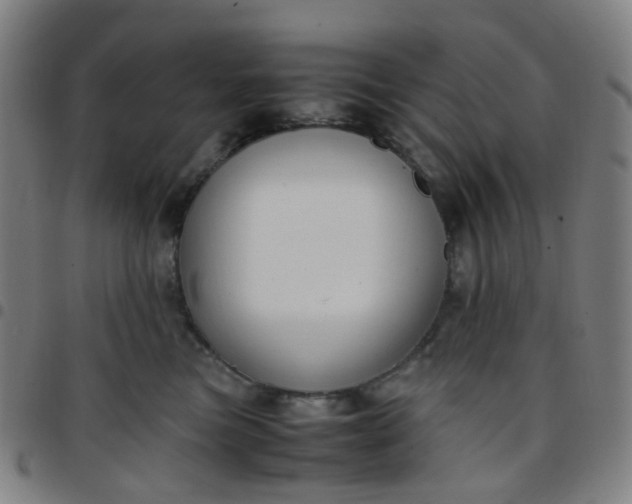 X0000097480473200803071720