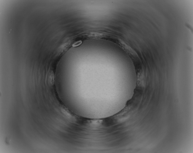 X0000097480474200803071720