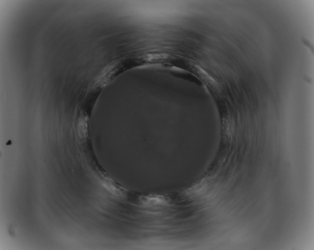 X0000097480475200803071720