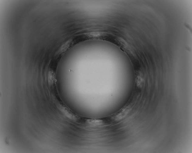 X0000097480476200803071720