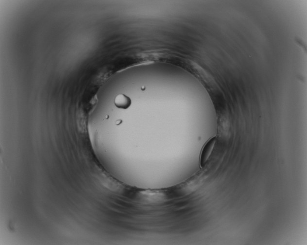 X0000097480477200803071720