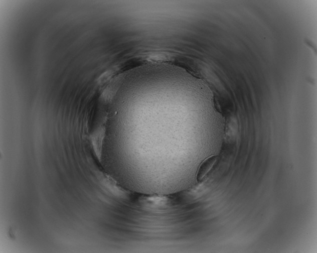 X0000097480478200803071720