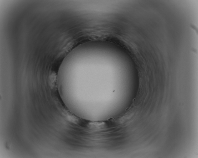 X0000097480480200803071721