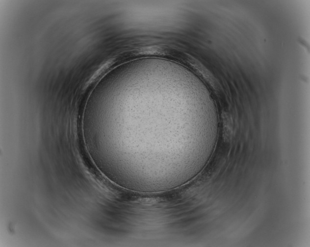 X0000097480482200803071720