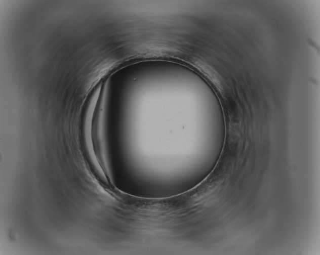 X0000097480485200803071720