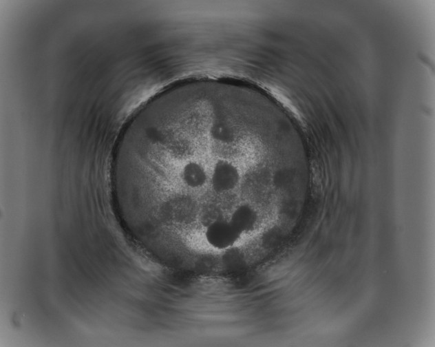 X0000097480487200803071720