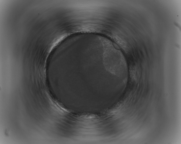 X0000097480488200803071720