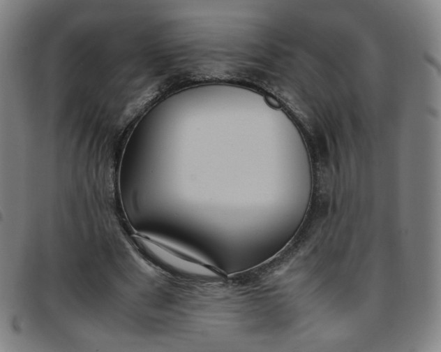 X0000097480489200803071720