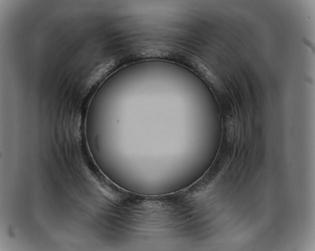 X0000097480490200803071720