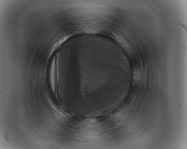 X0000097480492200803071720