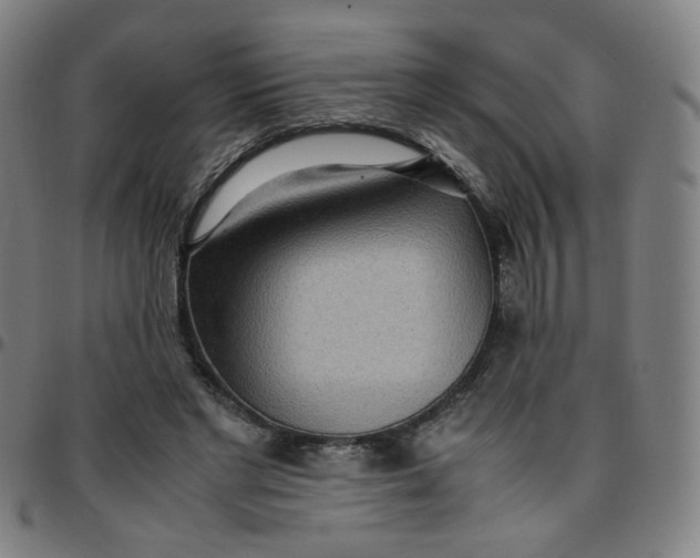 X0000097480493200803071720