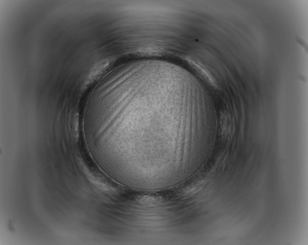 X0000097480494200803071720