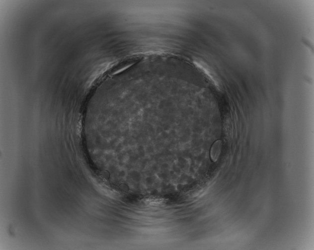 X0000097480495200803071720