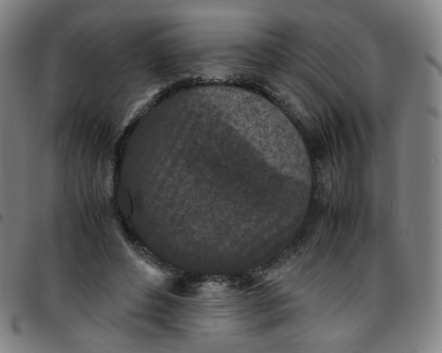 X0000097480496200803071720