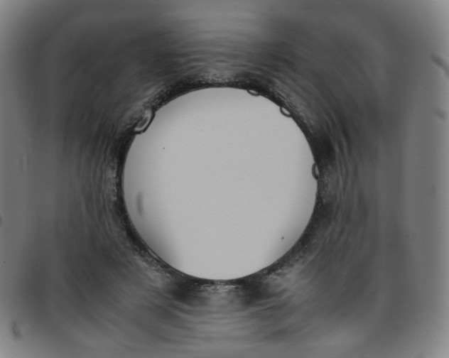 X0000097480497200803071720