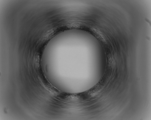 X0000097480498200803071720