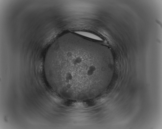 X0000097480499200803071720