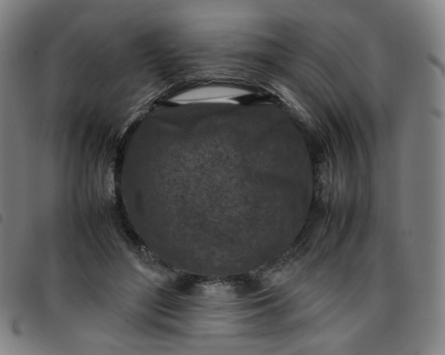 X0000097480500200803071720