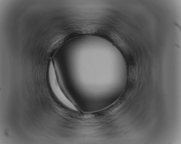 X0000097480501200803071720