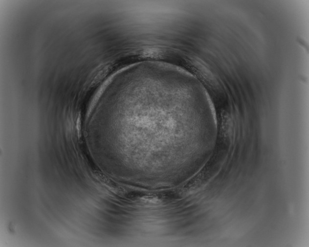 X0000097480502200803071719