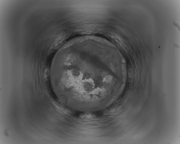 X0000097480503200803071719