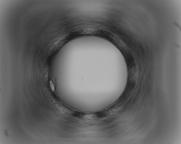 X0000097480505200803071719