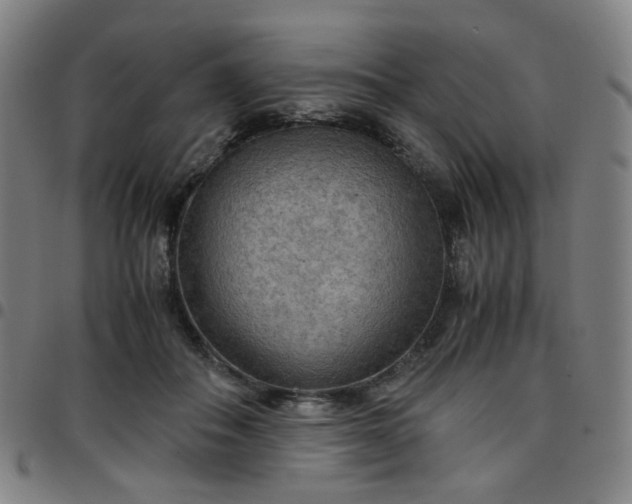 X0000097480506200803071719