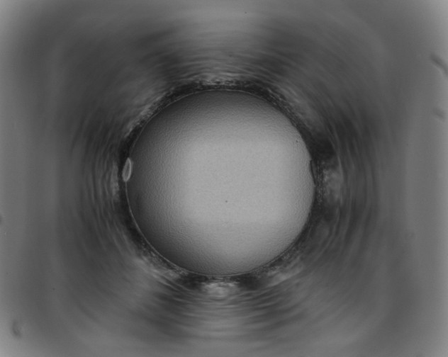 X0000097480508200803071719