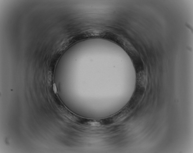 X0000097480509200803071719