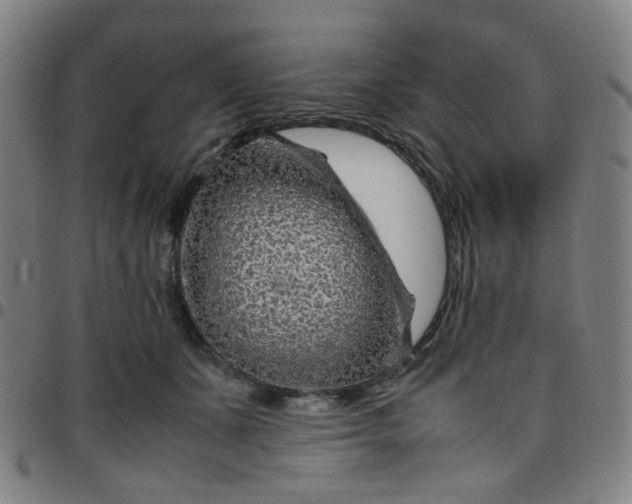 X0000097480511200803071719