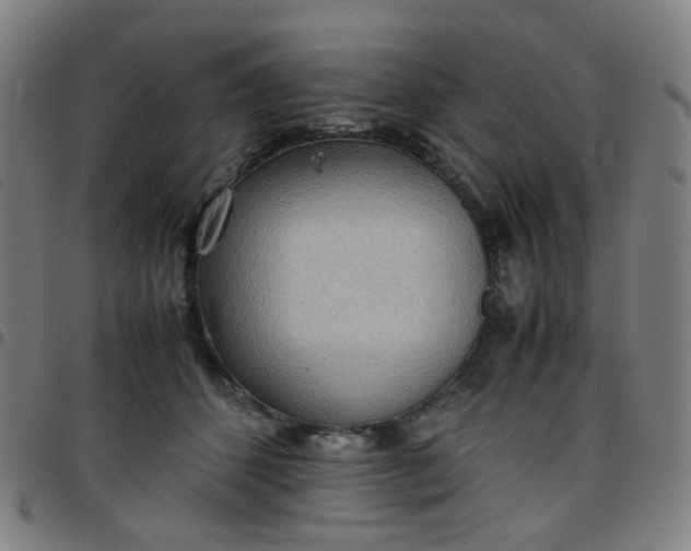 X0000097480512200803071719