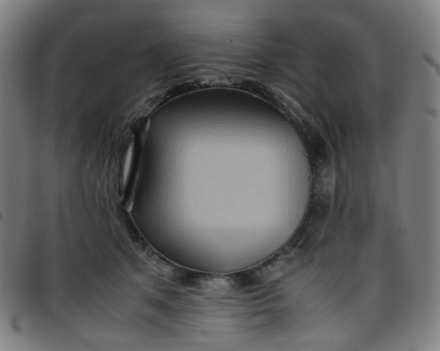 X0000097480513200803071719